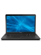 Тачпады для Toshiba Satellite C675