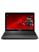 Тачпады для Packard Bell EasyNote TS11SB