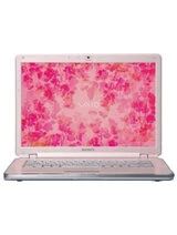 Чехлы для Sony VAIO VGN-CR31S/P