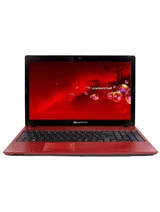 Шлейфы для Packard Bell EasyNote TK87